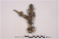 藏品(島衣屬 )的圖片